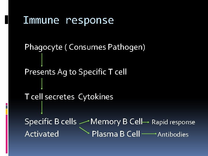Immune response Phagocyte ( Consumes Pathogen) Presents Ag to Specific T cell secretes Cytokines