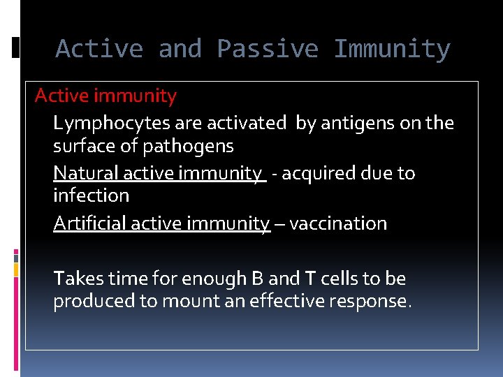 Active and Passive Immunity Active immunity Lymphocytes are activated by antigens on the surface