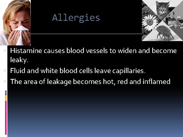 Allergies Histamine causes blood vessels to widen and become leaky. Fluid and white blood