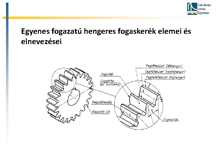 Széchenyi István Egyetem Egyenes fogazatú hengeres fogaskerék elemei és elnevezései 