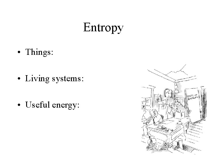 Entropy • Things: • Living systems: • Useful energy: 