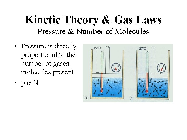 Kinetic Theory & Gas Laws Pressure & Number of Molecules • Pressure is directly