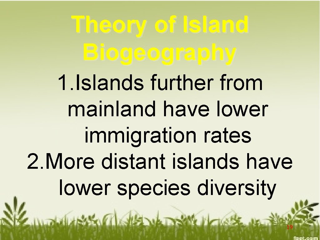 Theory of Island Biogeography 1. Islands further from mainland have lower immigration rates 2.