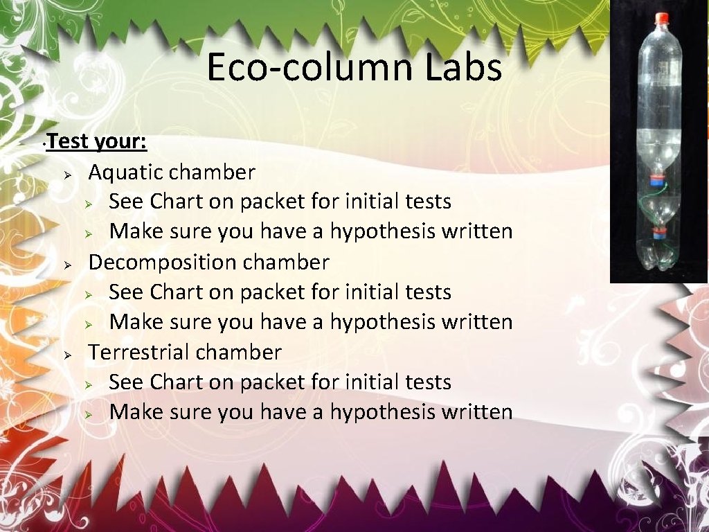Eco-column Labs • Test your: Ø Aquatic chamber Ø See Chart on packet for