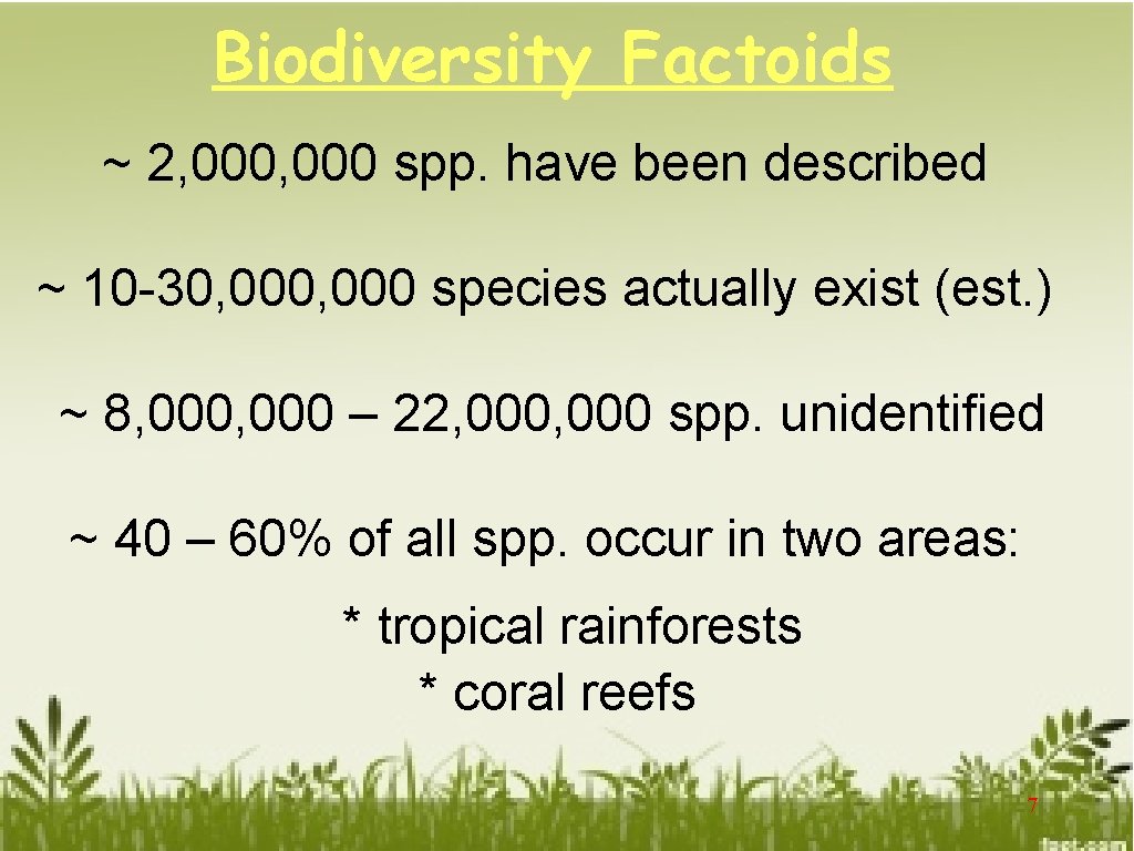 Biodiversity Factoids ~ 2, 000 spp. have been described ~ 10 -30, 000 species