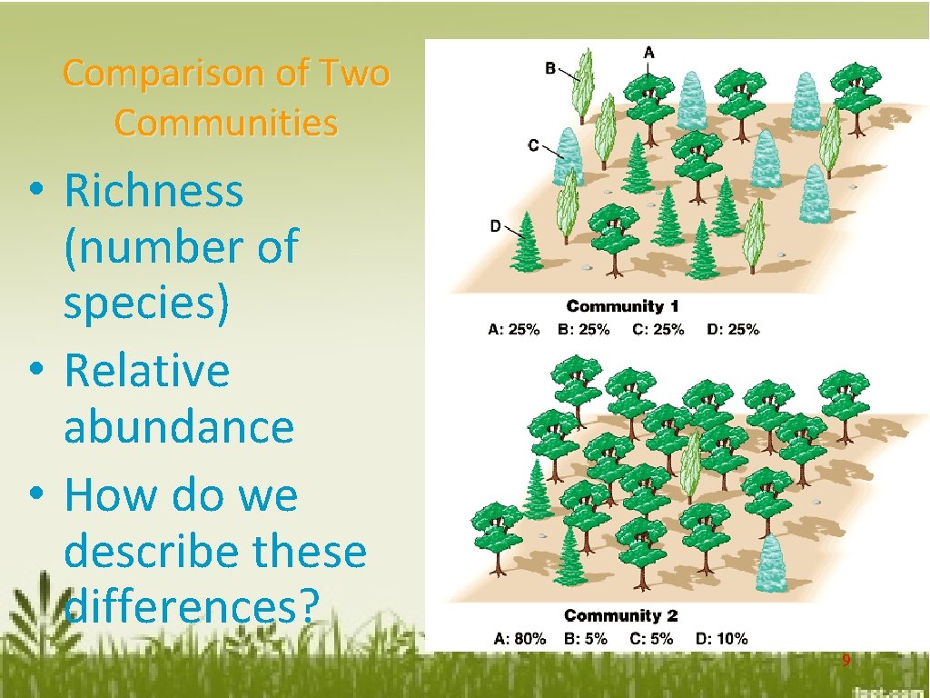 Comparison of Two Communities • Richness (number of species) • Relative abundance • How