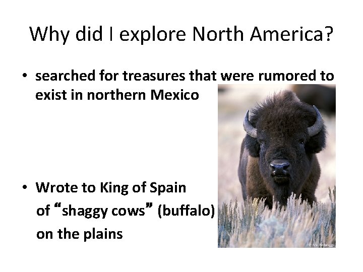 Why did I explore North America? • searched for treasures that were rumored to