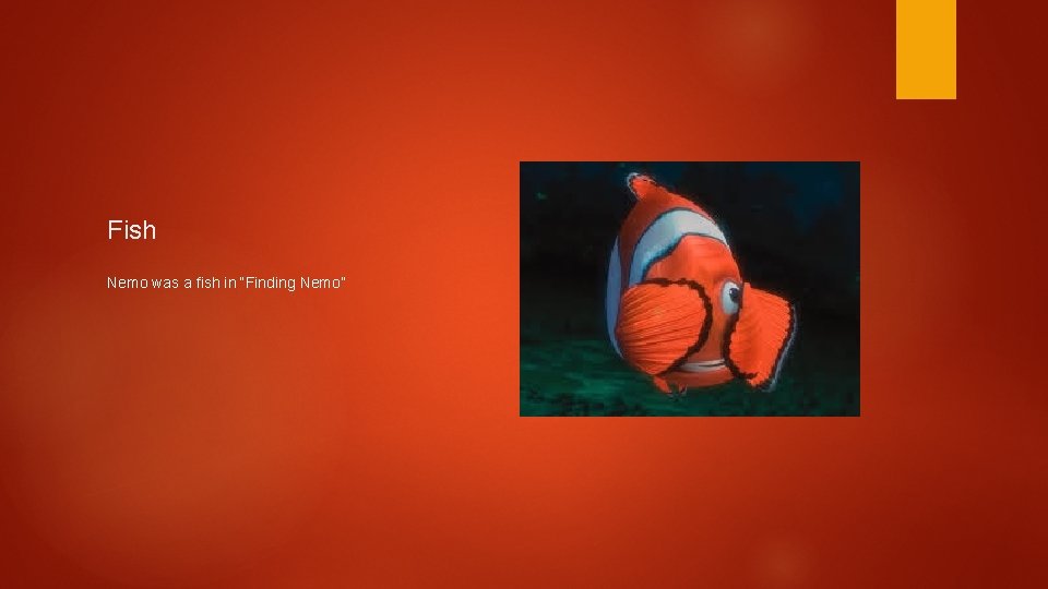 Fish Nemo was a fish in “Finding Nemo” 