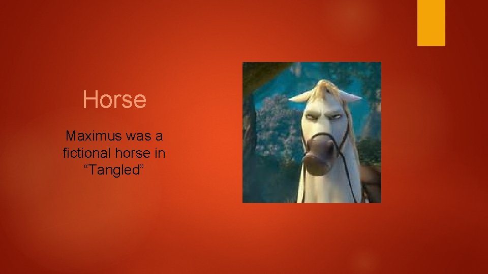 Horse Maximus was a fictional horse in “Tangled” 