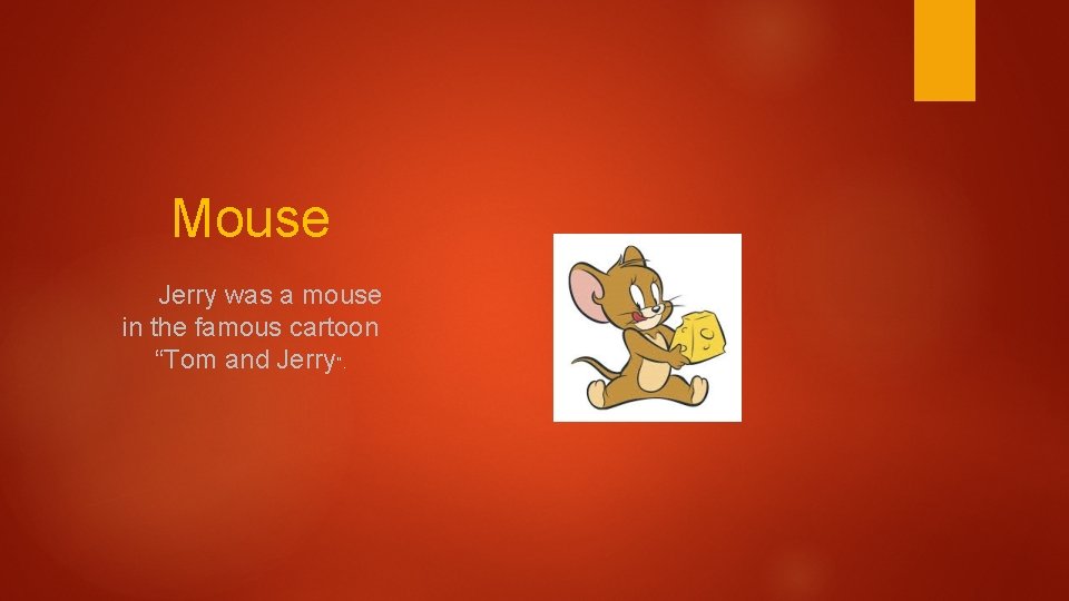 Mouse Jerry was a mouse in the famous cartoon “Tom and Jerry”. 