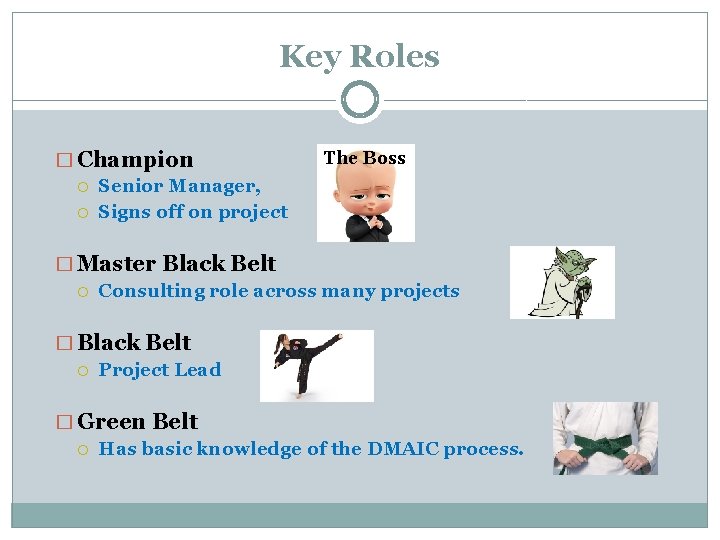 Key Roles � Champion Senior Manager, Signs off on project The Boss � Master