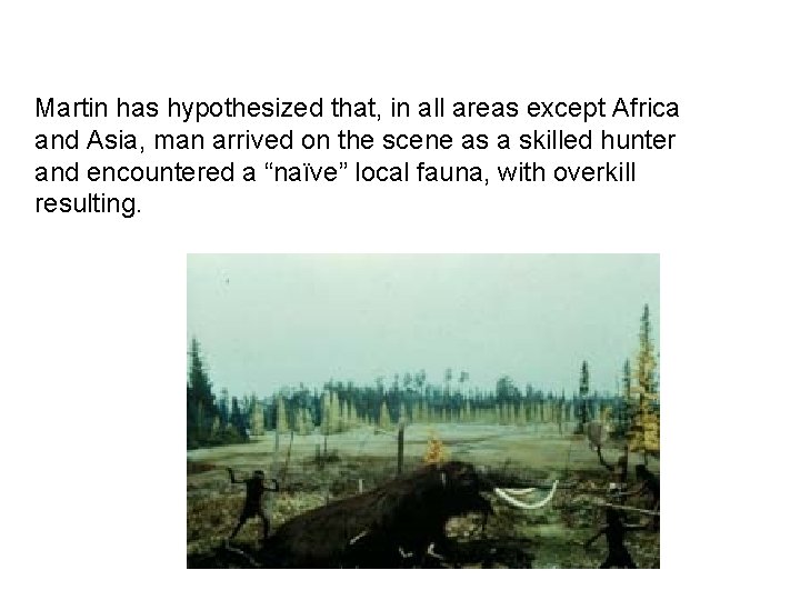 Martin has hypothesized that, in all areas except Africa and Asia, man arrived on