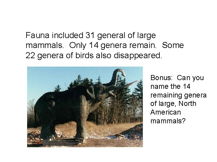 Fauna included 31 general of large mammals. Only 14 genera remain. Some 22 genera