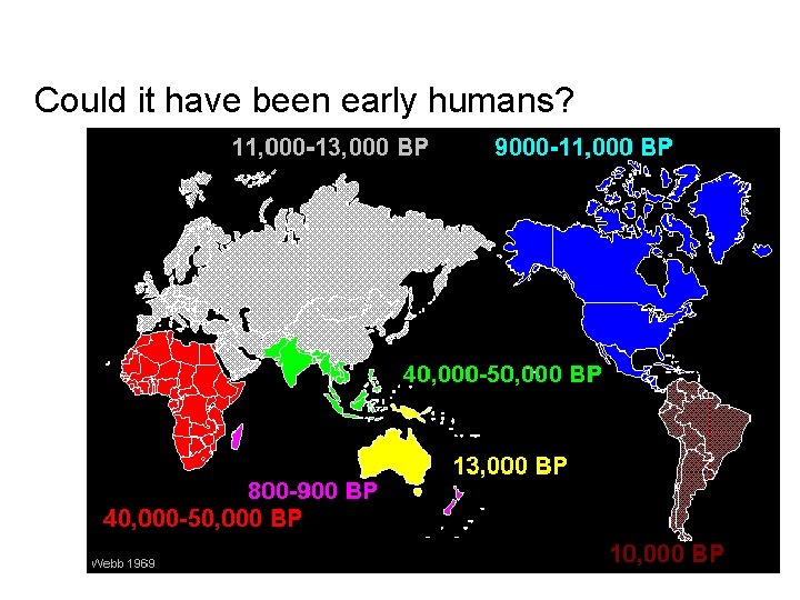 Could it have been early humans? 
