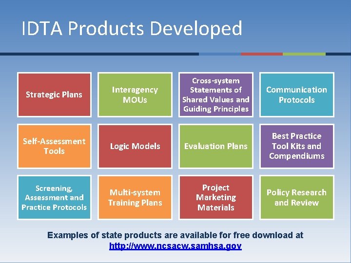 IDTA Products Developed Strategic Plans Interagency MOUs Cross-system Statements of Shared Values and Guiding