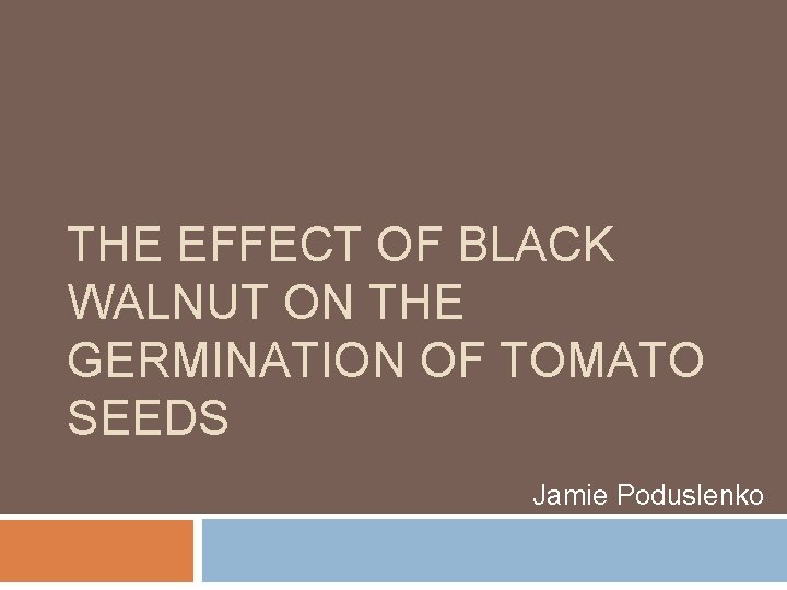 THE EFFECT OF BLACK WALNUT ON THE GERMINATION OF TOMATO SEEDS Jamie Poduslenko 