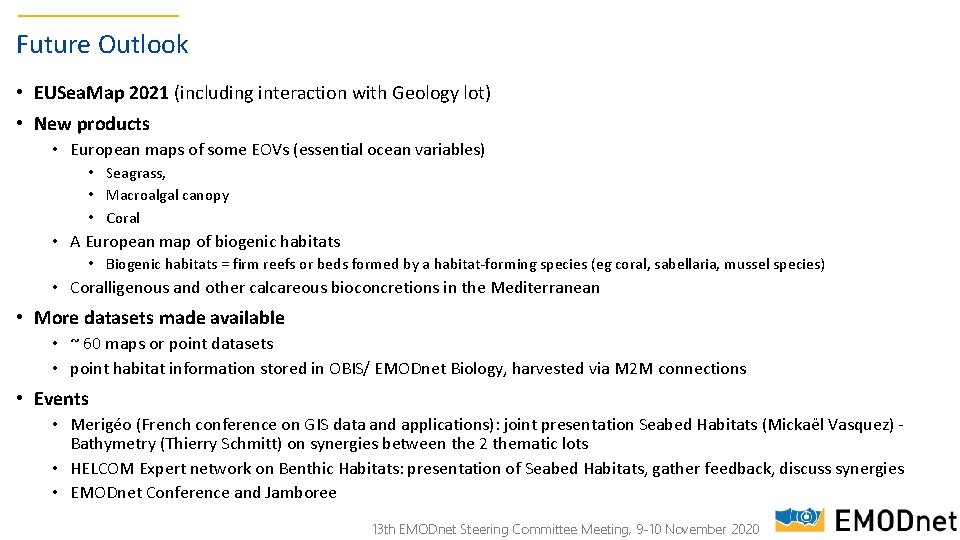 Future Outlook • EUSea. Map 2021 (including interaction with Geology lot) • New products