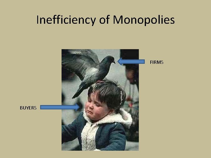 Inefficiency of Monopolies FIRMS BUYERS 