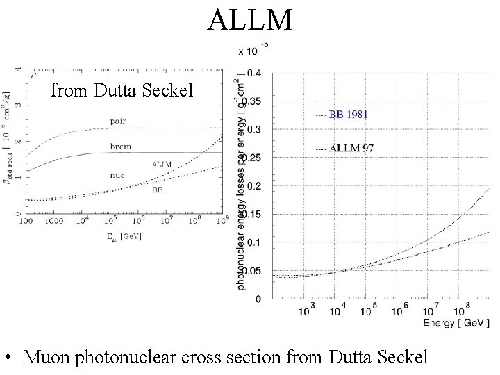 ALLM from Dutta Seckel • Muon photonuclear cross section from Dutta Seckel 