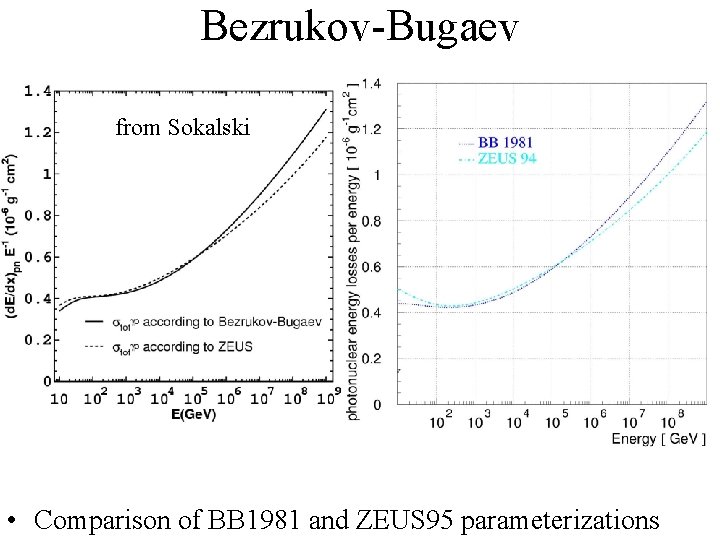 Bezrukov-Bugaev from Sokalski • Comparison of BB 1981 and ZEUS 95 parameterizations 