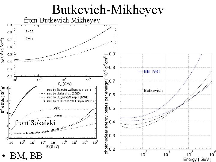 Butkevich-Mikheyev from Butkevich Mikheyev from Sokalski • BM, BB 