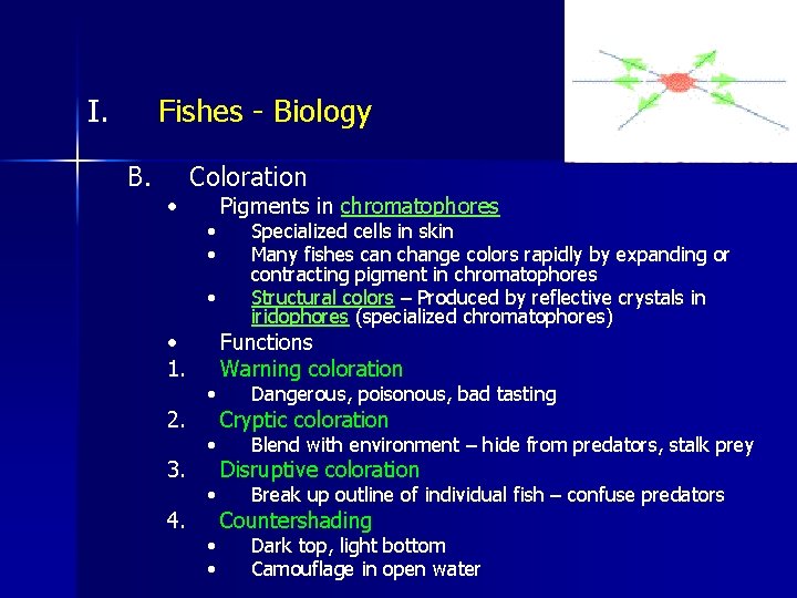 I. Fishes - Biology B. • Coloration • • 1. 2. 3. 4. •