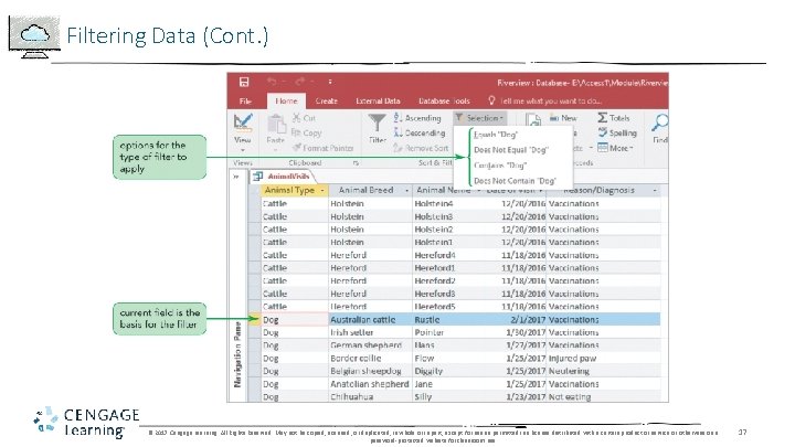 Filtering Data (Cont. ) © 2017 Cengage Learning. All Rights Reserved. May not be