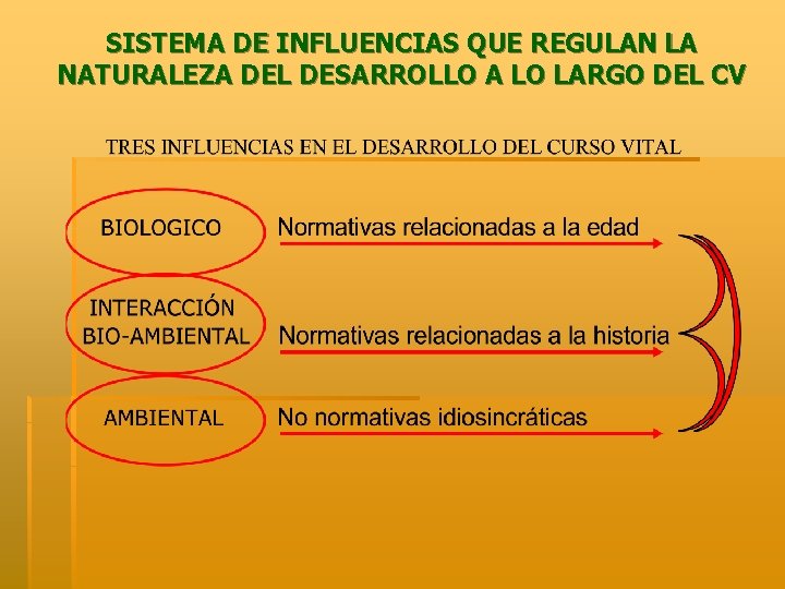 SISTEMA DE INFLUENCIAS QUE REGULAN LA NATURALEZA DEL DESARROLLO A LO LARGO DEL CV