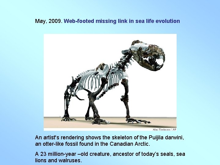May, 2009. Web-footed missing link in sea life evolution An artist's rendering shows the May, 2009. Web-footed missing link in sea life evolution An artist's rendering shows the