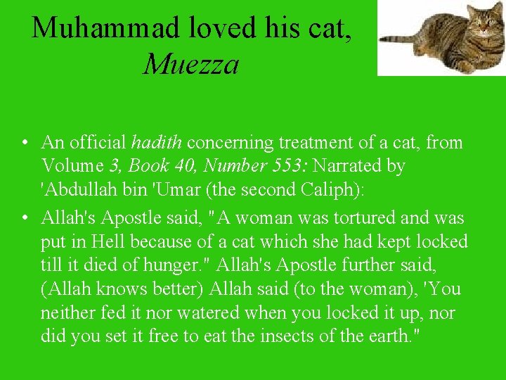 Muhammad loved his cat, Muezza • An official hadith concerning treatment of a cat,