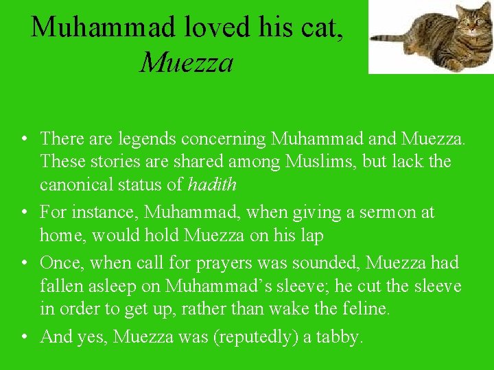 Muhammad loved his cat, Muezza • There are legends concerning Muhammad and Muezza. These