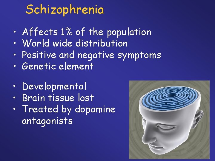 Schizophrenia • • Affects 1% of the population World wide distribution Positive and negative