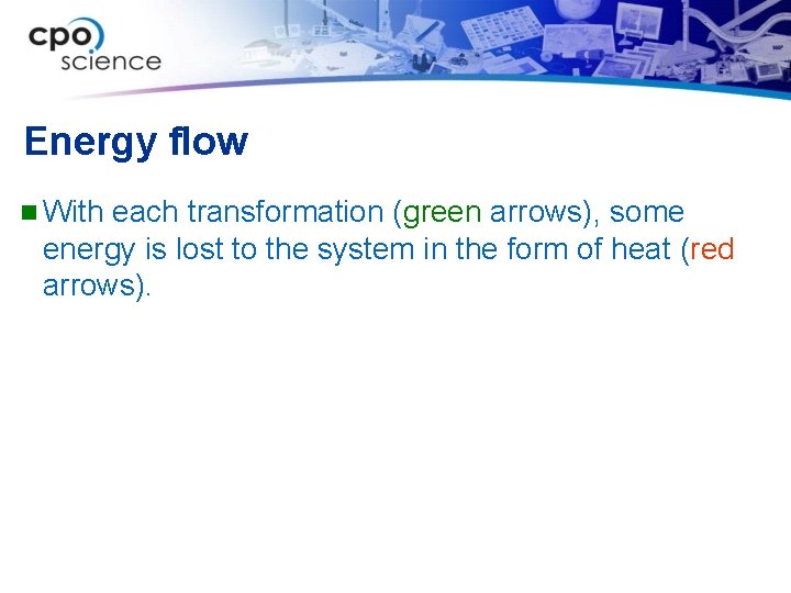 Energy flow n With each transformation (green arrows), some energy is lost to the