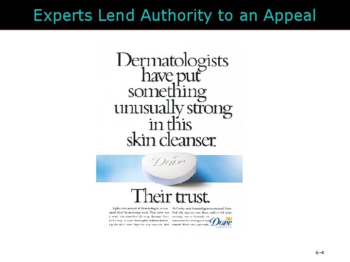 Experts Lend Authority to an Appeal 6 -4 