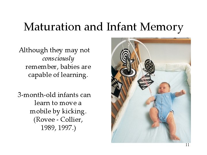Maturation and Infant Memory Although they may not consciously remember, babies are capable of