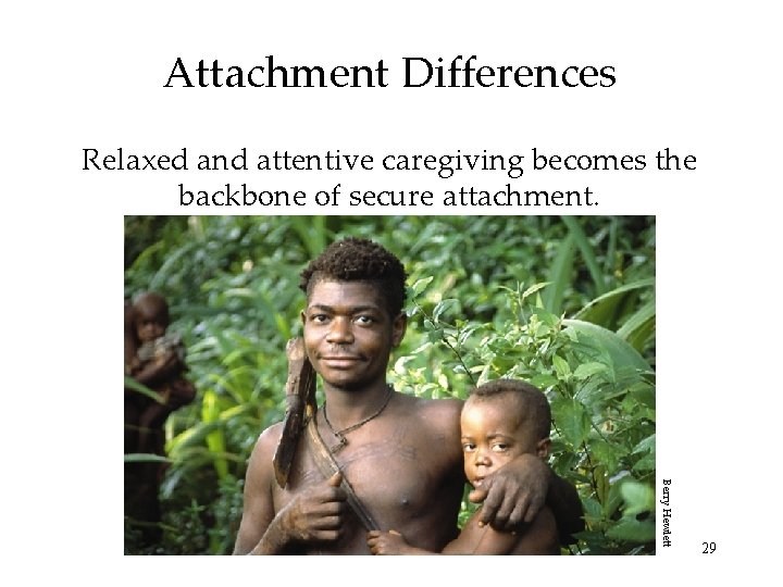 Attachment Differences Relaxed and attentive caregiving becomes the backbone of secure attachment. Berry Hewlett