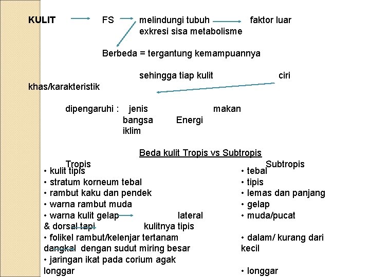 KULIT FS melindungi tubuh faktor luar exkresi sisa metabolisme Berbeda = tergantung kemampuannya sehingga