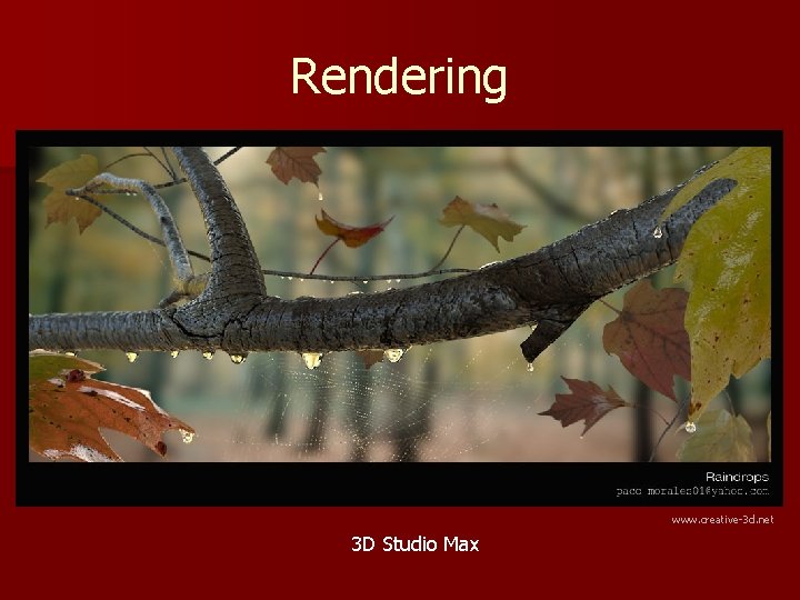 Rendering www. creative-3 d. net 3 D Studio Max 