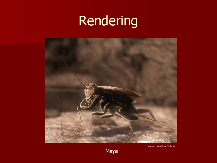 Rendering Maya www. creative-3 d. net 