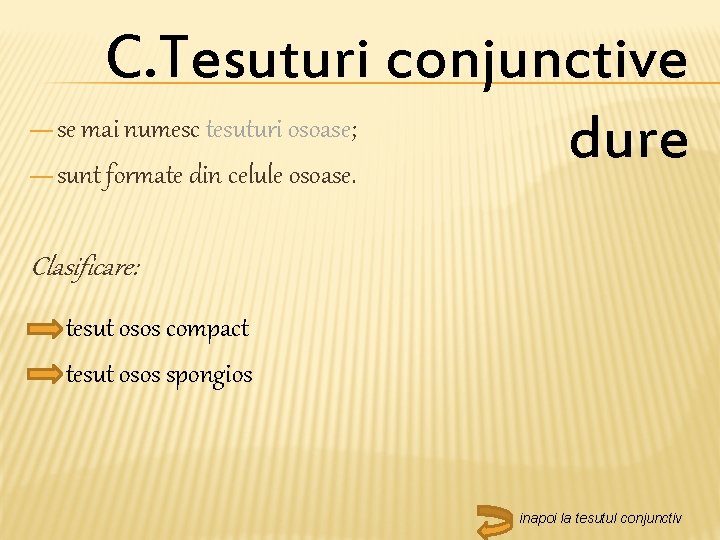 — — C. Tesuturi conjunctive se mai numesc tesuturi osoase; dure sunt formate din