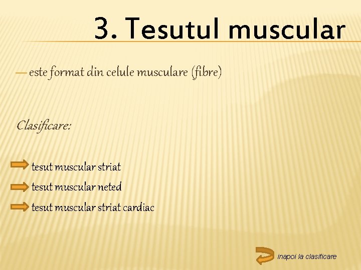 3. Tesutul muscular — este format din celule musculare (fibre) Clasificare: tesut muscular striat