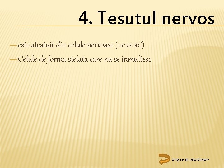 4. Tesutul nervos — este alcatuit din celule nervoase (neuroni) — Celule de forma