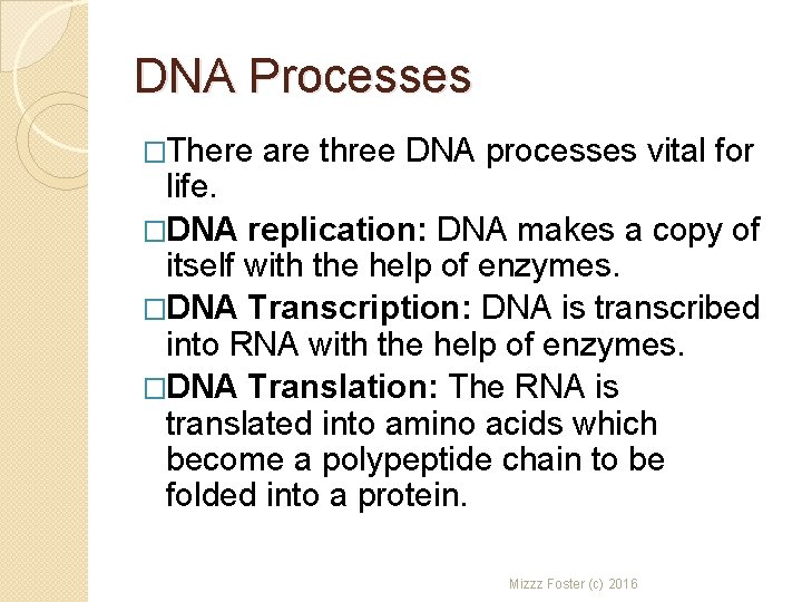DNA Processes �There are three DNA processes vital for life. �DNA replication: DNA makes
