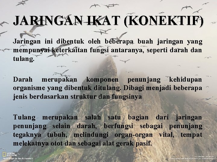 JARINGAN IKAT (KONEKTIF) Jaringan ini dibentuk oleh beberapa buah jaringan yang mempunyai keterkaitan fungsi