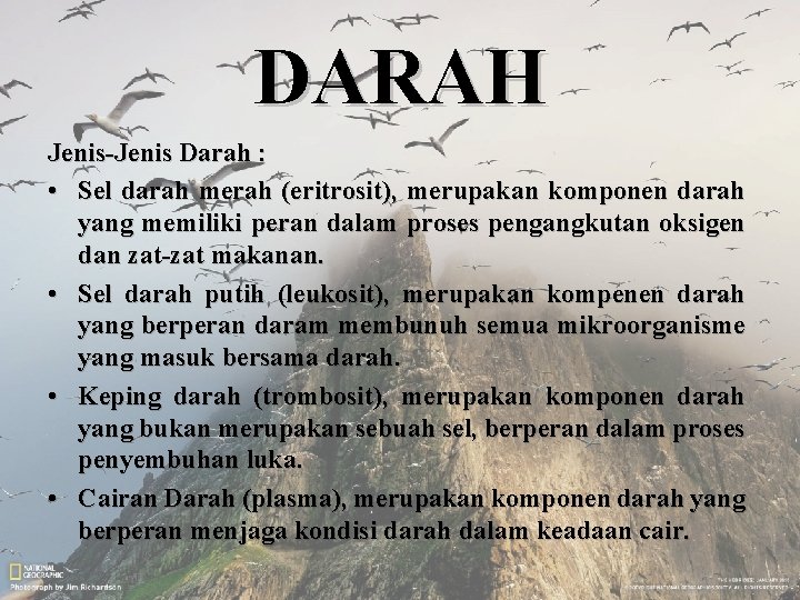 DARAH Jenis-Jenis Darah : • Sel darah merah (eritrosit), merupakan komponen darah yang memiliki