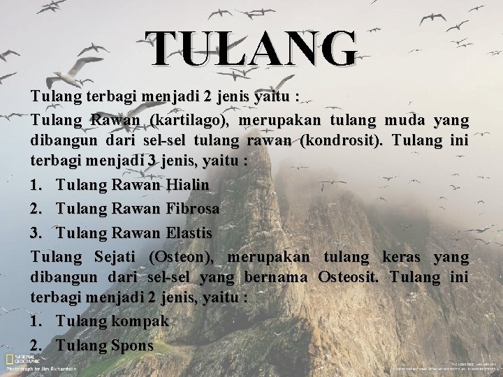 TULANG Tulang terbagi menjadi 2 jenis yaitu : Tulang Rawan (kartilago), merupakan tulang muda