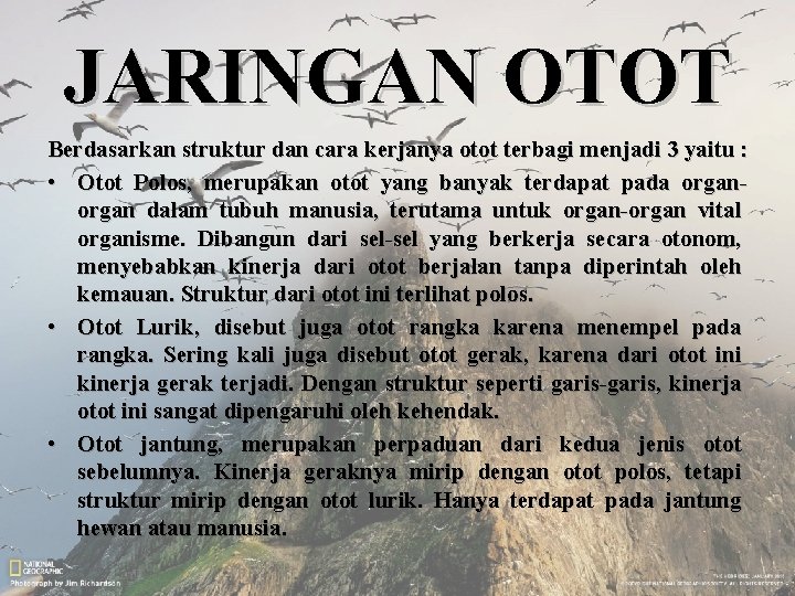 JARINGAN OTOT Berdasarkan struktur dan cara kerjanya otot terbagi menjadi 3 yaitu : •