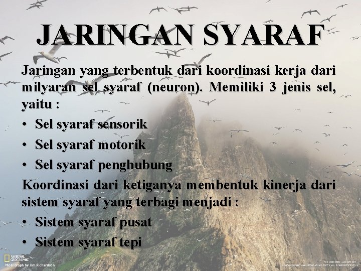 JARINGAN SYARAF Jaringan yang terbentuk dari koordinasi kerja dari milyaran sel syaraf (neuron). Memiliki