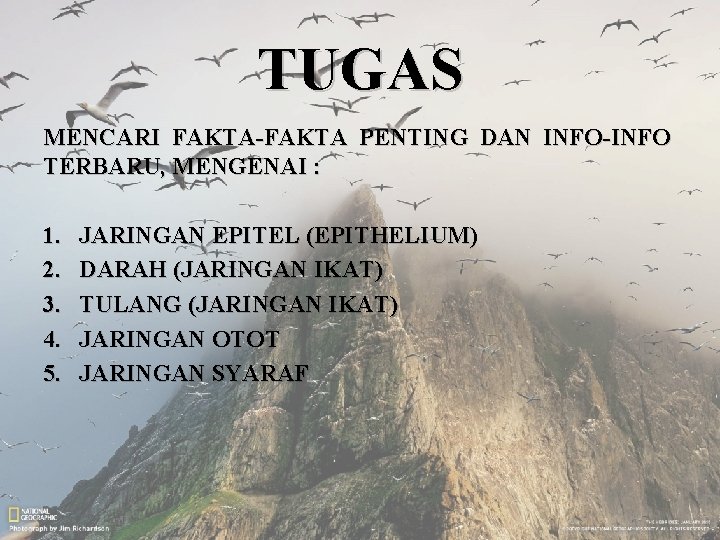 TUGAS MENCARI FAKTA-FAKTA PENTING DAN INFO-INFO TERBARU, MENGENAI : 1. 2. 3. 4. 5.