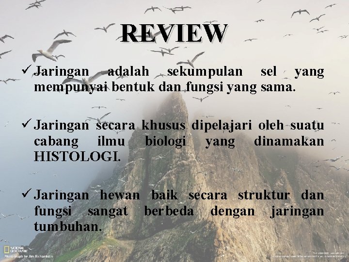 REVIEW ü Jaringan adalah sekumpulan sel yang mempunyai bentuk dan fungsi yang sama. ü